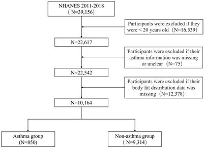 Association between body fat distribution and asthma in adults: results from the cross-sectional and bidirectional Mendelian randomization study